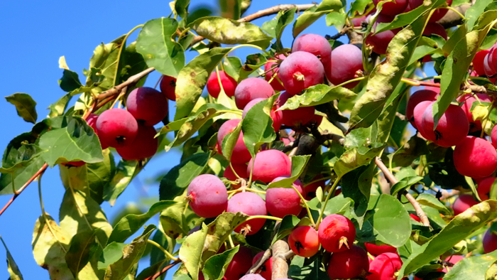 1761555481925845.png image.png